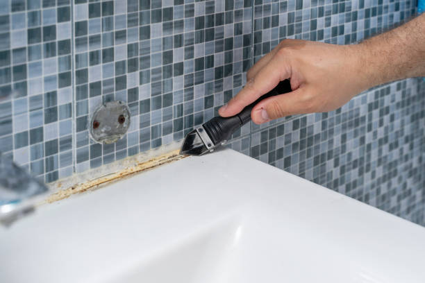 Best Mold Cleaning Services  in Lookout Mountain, AL