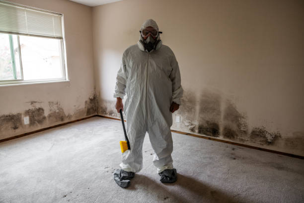 Certified Mold Removal in Lookout Mountain, AL